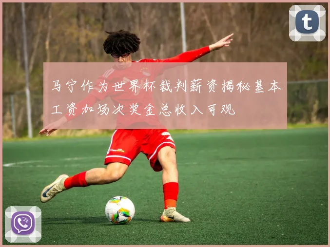 马宁作为世界杯裁判薪资揭秘基本工资加场次奖金总收入可观